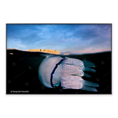 Born between Vesuvius and the Sea - Fine Art photographic print, Naples, 2013