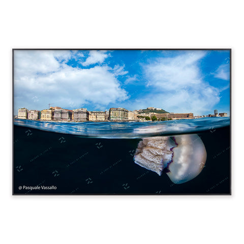 Partenope - Fine Art photographic print, Naples, 2014